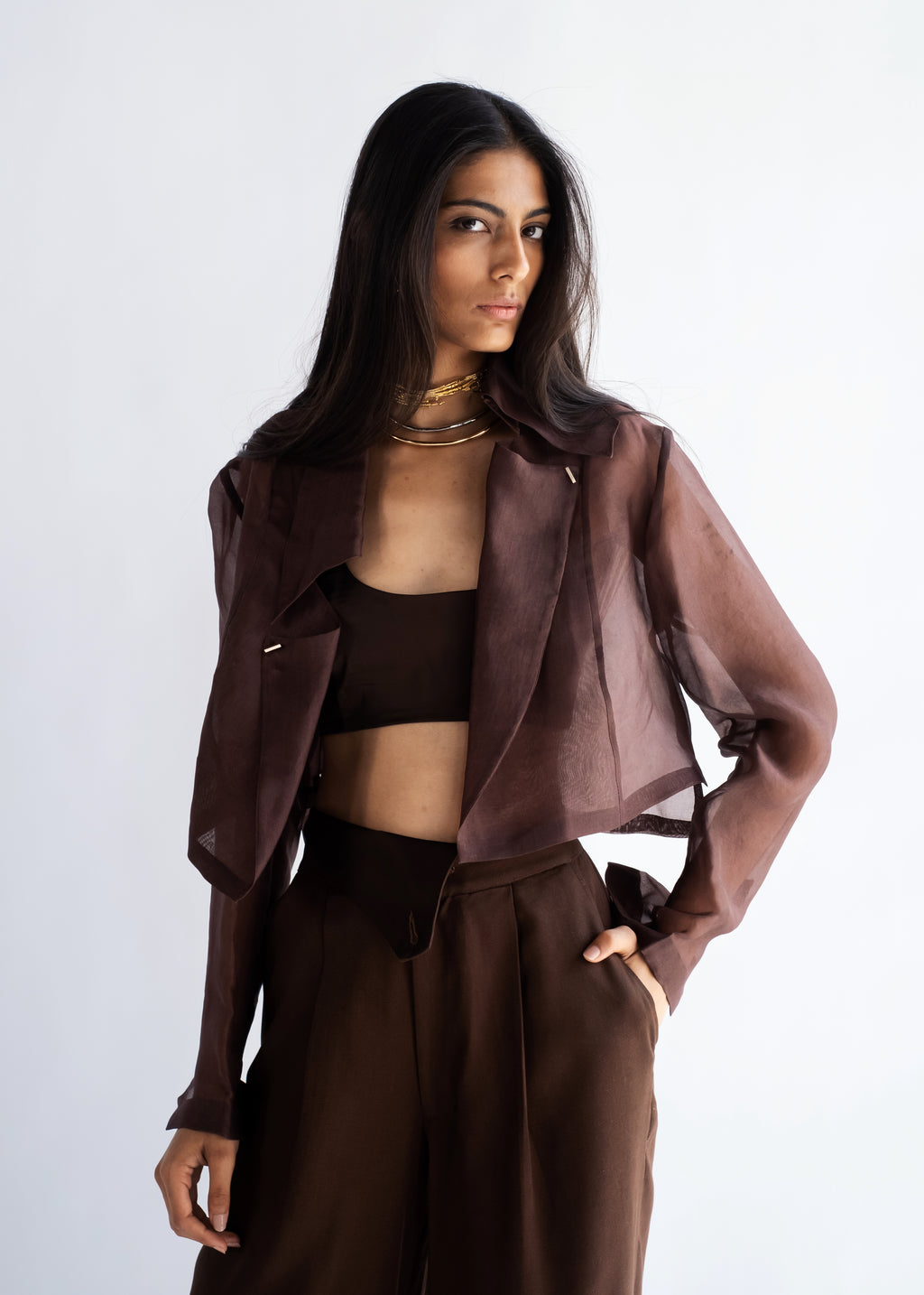 Espresso Organza Shirt & Pants